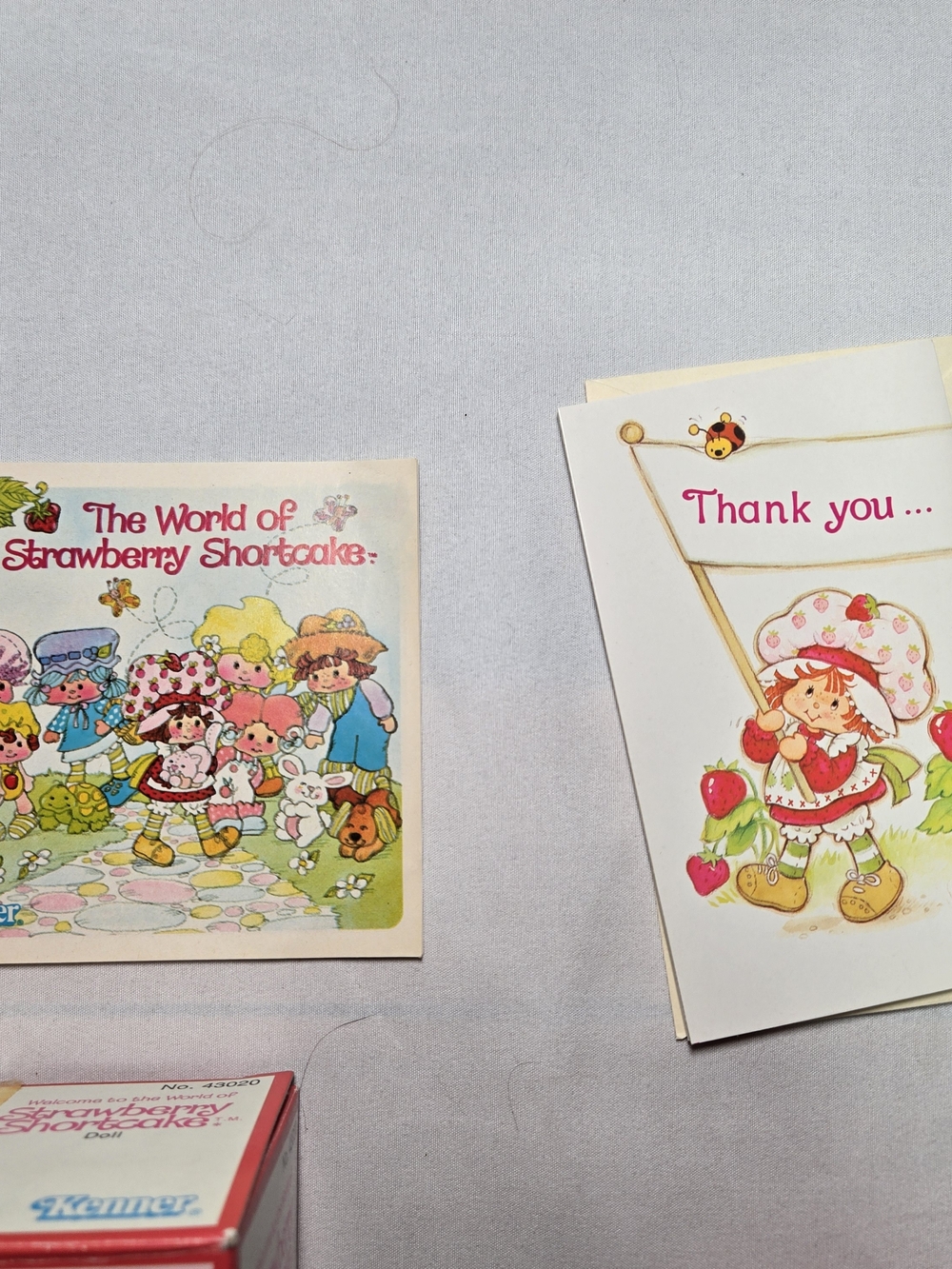 VINTAGE 1980 Kenner Strawberry Shortcake Doll #43020 W/ Accessories - Picture 6 of 7